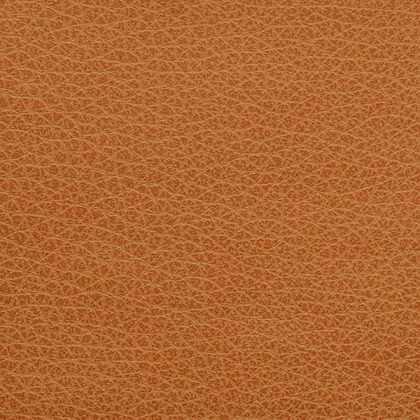 Outback